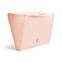 U Brands Premium Plastic Accordion File, 13 Pocket, Letter Size, Blush Pink (3350F04-24)~#|#~29A368D5-071F-4C5C-8DE34AC1AD4D7636_sc7