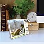 2027 Willow Creek Gettin' Squirrelly 5.4" x 6.2" Day-to-Day Calendar (63484)~#|#~29AAFA7A-C1FA-4986-AF54A1461E18D039_sc7