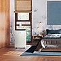 TCL 115-Volt 7,000 (BTU DOE) Portable Air Conditioner with Remote, WiFi Enabled, White (H7P38W)~#|#~29BD3B85-E2D1-4769-B623EB8124287338_sc7