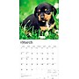 2026 BrownTrout Dachshund Puppies 12" x 12" Monthly Wall Calendar (9798330703098)~#|#~29BE3E68-2FBC-49A3-A86FCCA0BCE5C60B_sc7