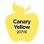 Apple Barrel Acrylic Paint Matte, 8oz., Canary Yellow, 6/Pack (APP20711E-6)~#|#~29C86A71-6DDB-4D40-978E34ECD4FABA43_sc7