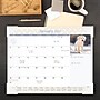 2027 AT-A-GLANCE Puppies 21.75" x 17" Monthly Desk Pad Calendar (DMD166-32-27)~#|#~29D141CF-FF59-49DD-8FDE7AC1EAF55C83_sc7