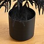 Nearly Natural Artificial Halloween Real Touch Black Norfolk Pine Christmas Tree, 4' (T5242)~#|#~29F279BB-A82F-4E74-91F87473D495A480_sc7