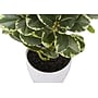 Monarch Specialties Inc. 14" Artificial Ficus Elastica Plant in Pot, 2/Set (I 9557)~#|#~2A00A103-15A3-4FEE-BAF3EDDF3992FF84_sc7