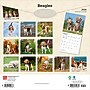 2026 BrownTrout Beagles 12" x 12" Monthly Wall Calendar (9798330702381)~#|#~2A423586-974C-4753-B29FD3E74401B14C_sc7