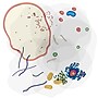 Roylco See-Through Animal Cell Builder, 10/Set (R-59280)~#|#~2A6B4F35-A29A-4DED-879D36F83EC94AB1_sc7
