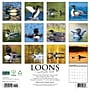 2027 Willow Creek Loons 12" x 12" Monthly Wall Calendar, Assorted Colors (61107)~#|#~2A7499D3-C176-4DE2-9DE4DF581D5368C9_sc7