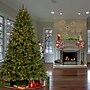 National Tree Company Downswept Douglas Fir Artificial Christmas Trees (PEDD8-DK27-75)~#|#~2A812C05-8F86-47EC-9095B144CF09F7BC_sc7