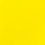 Liquitex BASICS Acrylic Paint Tube, Primary Yellow, 250 mL (LIQ4385410)~#|#~2A880C1D-2910-4558-9B63B97B6BCD7822_sc7