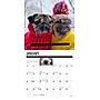 2026 Willow Creek Doug the Pug 7" x 7" Monthly Wall Calendar (53560)~#|#~2AA46B05-0C04-49B7-B6EC7ADDE3F465B5_sc7