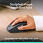 Logitech Signature Comfort Plus M850 L for Business Wireless Curved Ergonomic USB-C Optical Mouse, Graphite (910-007703)~#|#~2AB3B118-8A5E-4C61-8CDBD0CA2647CD74_sc7