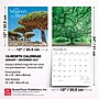 2027 BrownTrout The Majesty of Trees 12" x 12" Monthly Wall Calendar (9798330711574)~#|#~2ABA1A72-02D5-41A9-B335EA030272C920_sc7