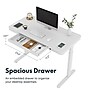 FlexiSpot EG9 48"W Electric Adjustable Glass Top Standing Desk, White (EG9W-E)~#|#~2AD7C64F-5057-46EB-9D9E21DE37115AE1_sc7