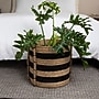 Household Essentials Handwoven Cattail Braided Handle Basket Decorative Storage Organizer, Natural/Black (HHML-6730)~#|#~2ADC9628-CF17-47AF-90420CF9E14236E2_sc7