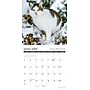 2027 Willow Creek What Cats Teach Us 7" x 7" Monthly Wall Calendar (64276)~#|#~2AE61FB0-245D-46D3-AF609AF858021258_sc7