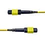 StarTech 3.3 ft. MTP/APC Cable, Female-to-Female, Neon Yellow (OS2MTP12BOFNP1M)~#|#~2B14B54B-18A9-47EF-876A128E0251A0EF_sc7