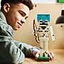 LEGO Minecraft The Skeleton, 502 Pieces (21594)~#|#~2B291EC1-8852-413B-97925D803DE22AF1_sc7