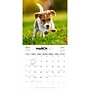 2027 BrownTrout Puppy Love 12" x 12" Monthly Wall Calendar (9347301107344)~#|#~2B43C4C1-427F-44B4-83155F0E044F9213_sc7