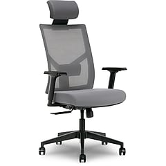 La-Z-Boy Mesh Back Molded Foam Computer and Desk Chair, Gray
