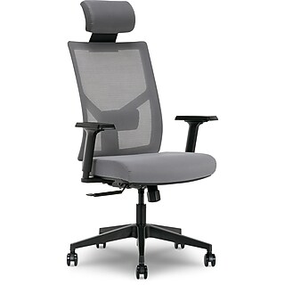 La-Z-Boy Joel Ergonomic Mesh Swivel Executive Chair, Gray/White