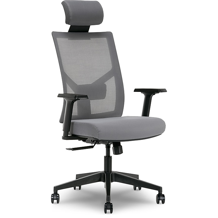 La-Z-Boy Mesh Back Molded Foam Computer and Desk Chair, Gray