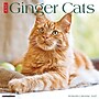 2027 Willow Creek Ginger Cats  12" x 12" Monthly Wall Calendar (60414)~#|#~2B60EC81-100C-4533-B060833F5E2B56F9_sc7