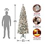 National Tree Company Acacia Artificial Christmas Tree, 7.5 ft., Medium Flocked, Clear Lights (AC100-302-75F)~#|#~2B6B9016-94B6-4307-AF32BB5E941499B8_sc7