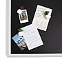 U Brands Mini Fashion Small Magnet Set, Green Succulents, 12/Pack (4943U06-24)~#|#~2B81F8AB-8AB3-485F-BD1041B32C15A021_sc7