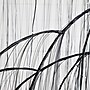 Nearly Natural Pre-Lit Artificial Halloween Black Willow Tree, 7' (T5206)~#|#~2B97244C-F66B-47A2-BC7399098571A73E_sc7