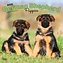 2026 BrownTrout German Shepherd Puppies 12" x 12" Monthly Wall Calendar (9798330703364)~#|#~2BC7A3EA-E9E6-4560-81FC0C9E55D3C107_sc7