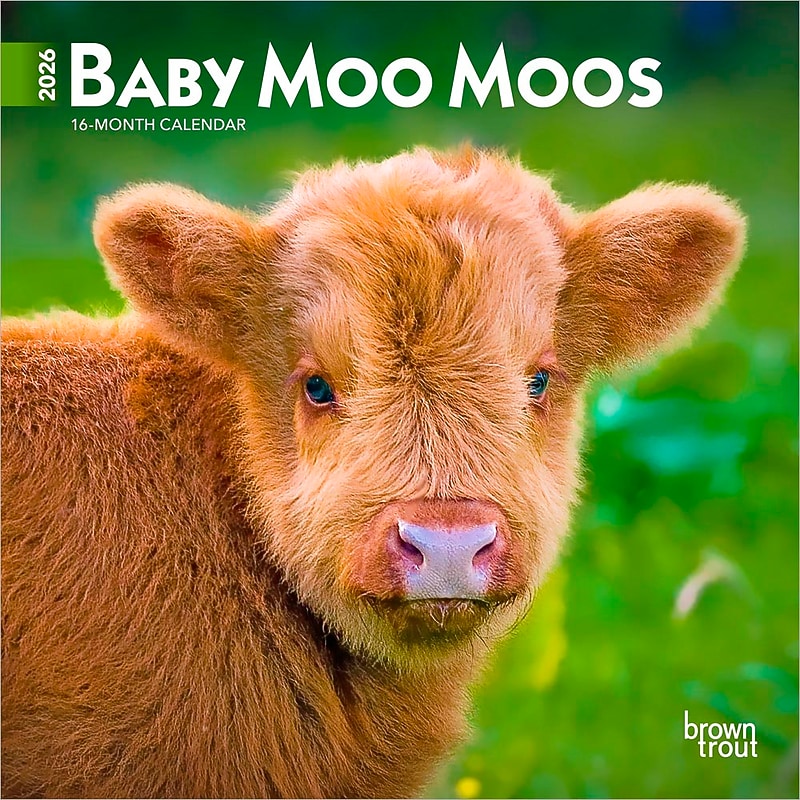 2026 BrownTrout Baby Moo Moos 7" x 7" Monthly Wall Calendar (9798330702275) image 1