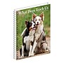 2027 Willow Creek What Dogs Teach Us 6.5" x 8.5" Weekly & Monthly Desk Calendar (64450)~#|#~2BE159A0-4976-4CF9-93F060CA6C6FB964_sc7