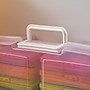 Iris Hinged Closure Plastic Storage Bin with 12 Multi-colored Photo Cases, 2/Pack (500055)~#|#~2BE64B5B-46CC-4AB6-81DE2BCF68421514_sc7