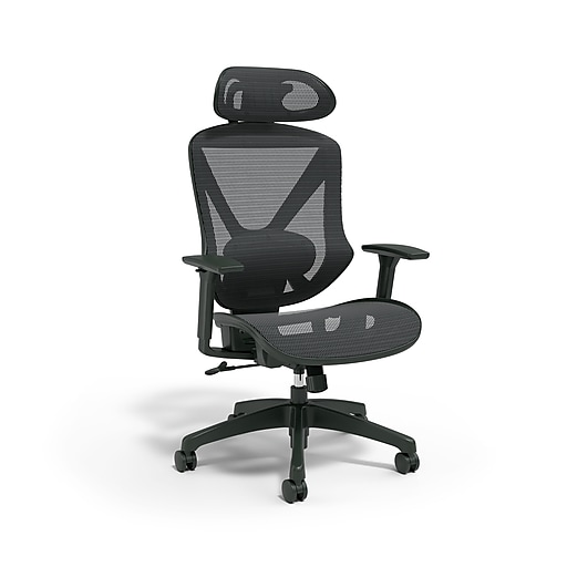 Union & Scale™ FlexFit™ Dexley Ergonomic Mesh Swivel Task Chair