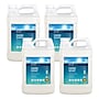 ECOS PRO Free & Clear Liquid Hand Soap Refill, 1 Gallon, 4/Carton (EOPPL966304)~#|#~2BF3C3B4-63B9-466C-AEAA99E39F9FBFF0_sc7