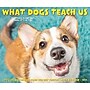 2027 Willow Creek What Dogs Teach Us 5.4" x 6.2" Day-to-Day Calendar (63835)~#|#~2C000501-3997-46DE-9763E8D221A85AAF_sc7