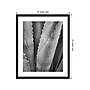 Amanti Art Abstract Agave I, Paper, 21" x 25" (A42675516734)~#|#~2C011858-4618-4818-BA6610FDB1719A94_sc7