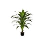 Monarch Specialties Inc. 47" Artificial Dracaena Tree in Pot (I 9542)~#|#~2C053C6F-A7D5-4E95-AD163DA997010899_sc7