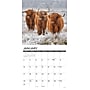 2027 Willow Creek Highland Cows 12" x 12" Monthly Wall Calendar, Assorted Colors (60667)~#|#~2C0E4E49-C0E2-4982-BCB3F9769AC74630_sc7