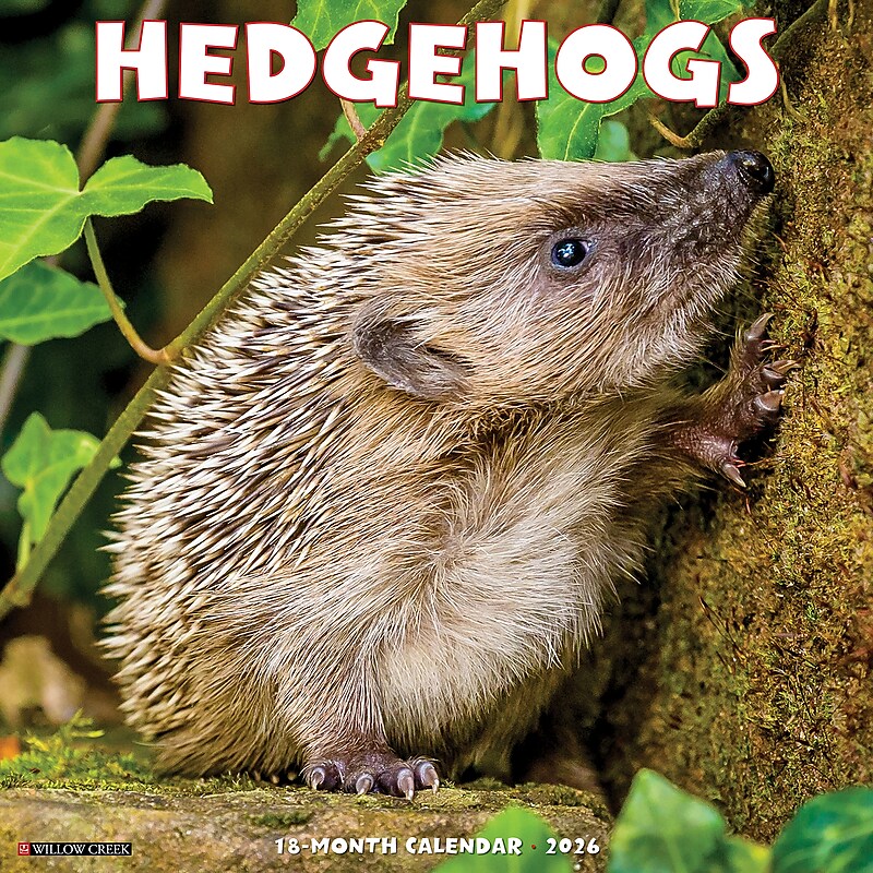2026 Willow Creek Hedgehogs 12" x 12" Monthly Wall Calendar (51467) image 1