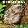2026 Willow Creek Hedgehogs 12" x 12" Monthly Wall Calendar (51467)~#|#~2C259342-434B-4720-9716AE9621DC1631_sc7