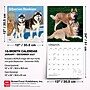 2027 BrownTrout Siberian Huskies 12" x 12" Monthly Wall Calendar (9798330712694)~#|#~2C457A87-A472-48EC-AA8EB4DF87F86A2C_sc7