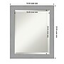 Amanti Art Brushed Nickel Frame Wall Mirror, 23.5" x 19.5" (A42674593052)~#|#~2C45EA10-E380-48EA-A6C2C29FAB4DE1B4_sc7