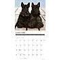 2026 Willow Creek Scotties 12" x 12" Monthly Wall Calendar (52693)~#|#~2C67EB53-8627-462D-8C9EB26D79658328_sc7