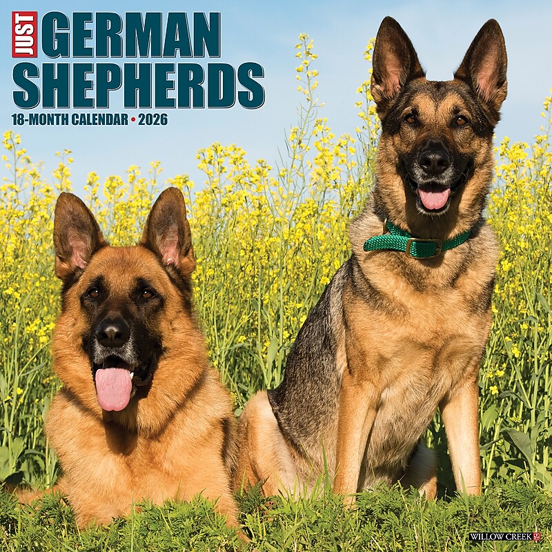 2026 Willow Creek German Shepherds 12" x 12" Monthly Wall Calendar (51238) image 1