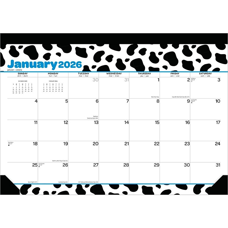 2026 Plato Cow Prints 15.5" x 11" Monthly Desk Pad Calendar (9798330700066) image 1