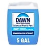 Dawn Professional Manual Pot & Pan Dish Soap, 5 Gal. (70681)~#|#~2CB01406-BC54-426D-A79AFA41481A18A4_sc7