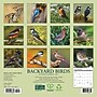 2027 Willow Creek Backyard Birds 7" x 7" Monthly Wall Calendar (63897)~#|#~2CB8F967-5B83-444F-998841E2D4CCE3A1_sc7