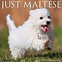 2027 Willow Creek Maltese 12" x 12" Monthly Wall Calendar, Assorted Colors (61152)~#|#~2CBCA09B-9192-4DB7-8CA19CE02A9E2633_sc7