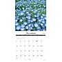 2027 Willow Creek Wildflowers 12" x 12" Monthly Wall Calendar, Assorted Colors (63026)~#|#~2CCE97F6-454B-42D9-BEF6A044B79B1DCE_sc7